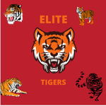 Official ELITE TIGER Squad