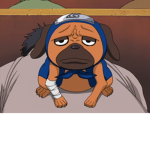 PUG_ANIME