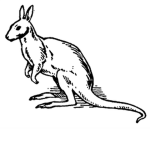 [ Content Kangaroo ]