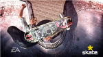 skate 3 pro's