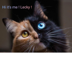 Lecky's Friends Group