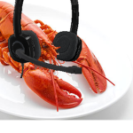 lobster gaming