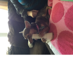 Cool kids awsome