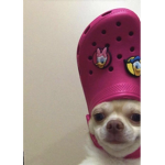 princessa's clothing store official group