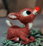 Rudolph's Group!!