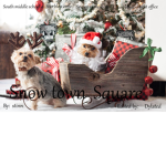 Stinn's fan group