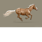 Official Sunny Stables