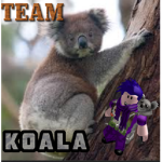 Team Koala Forever!!