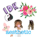 roblox aesthetic player
