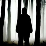 The Gamers In The Fog