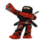last ninja games.