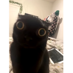 Hello everyone my name is Markiplier