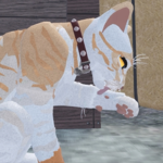 Warrior Cats FanMade Group!