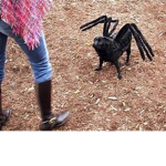 Spider's United!!