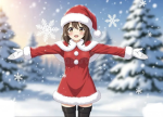 The christmas falls
