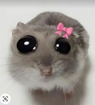 nic <3
