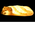 Epic bread group