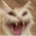 Smiling cat clothes :)