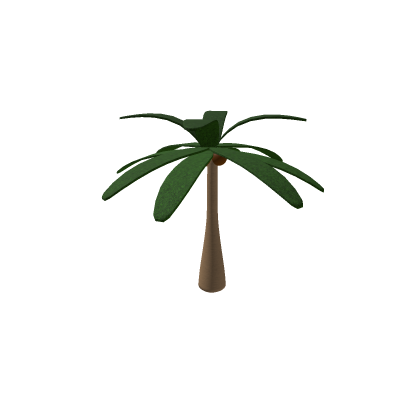 Cool Beach Palm