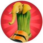 LIMITED LIRILILARILA