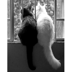 Sleep…