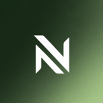 Nexus Asset's