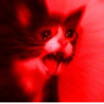 Bruh moment Lol