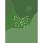 ~*level of shirts~*