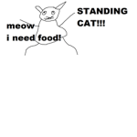 cutest cats ever