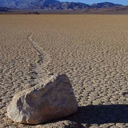 Watch a Rock move