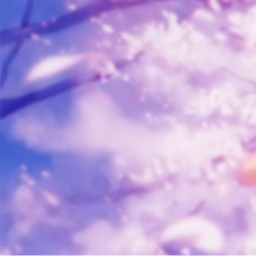 ✧