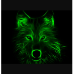 PARTYFOX52. FAN CLUB