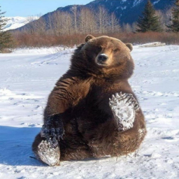 bear military training post.