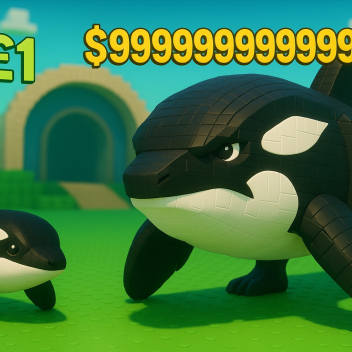 steal a orca🌊🐋