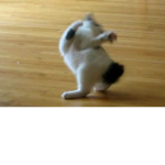 Slowarmy