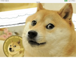The Doge Tribe Offical