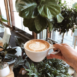 ~Coffee Beans~
