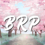 Bayern Roleplay | VC