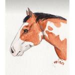 Aesthetic horse whit LILII