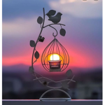 Sunset snaps