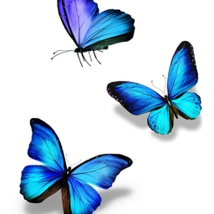 Le farfallina di Gaia Roblox group icon