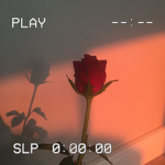 Lovely°