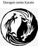 Dragon Combat Karate