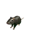 RatCheese Studios