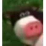 Epic gamers of roblox.