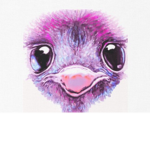 Emu Squad ARMY!