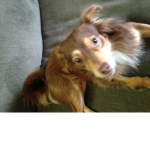 sloths are life