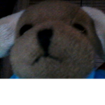 Bible Bear