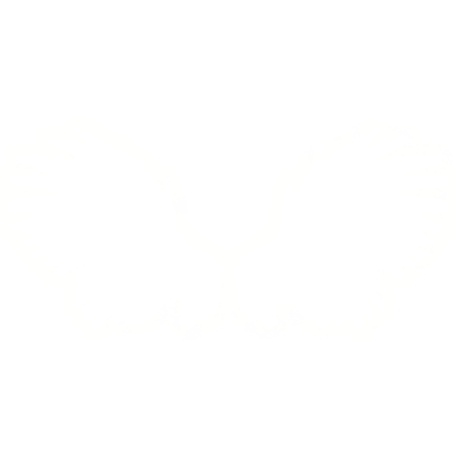 (Emissive) White Raven Wings