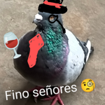 Grupo de fans de josedestructor80